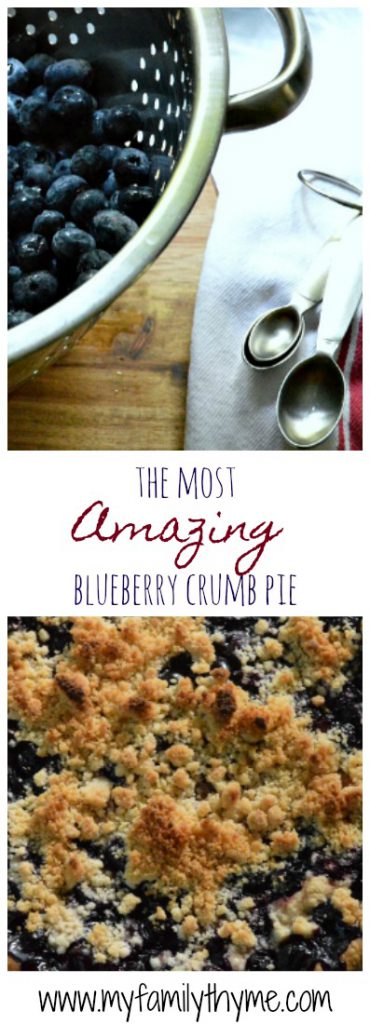 https://myfamilythyme.com/wp-content/uploads/2017/07/blueberry-crumb-pie-1-pin.jpg