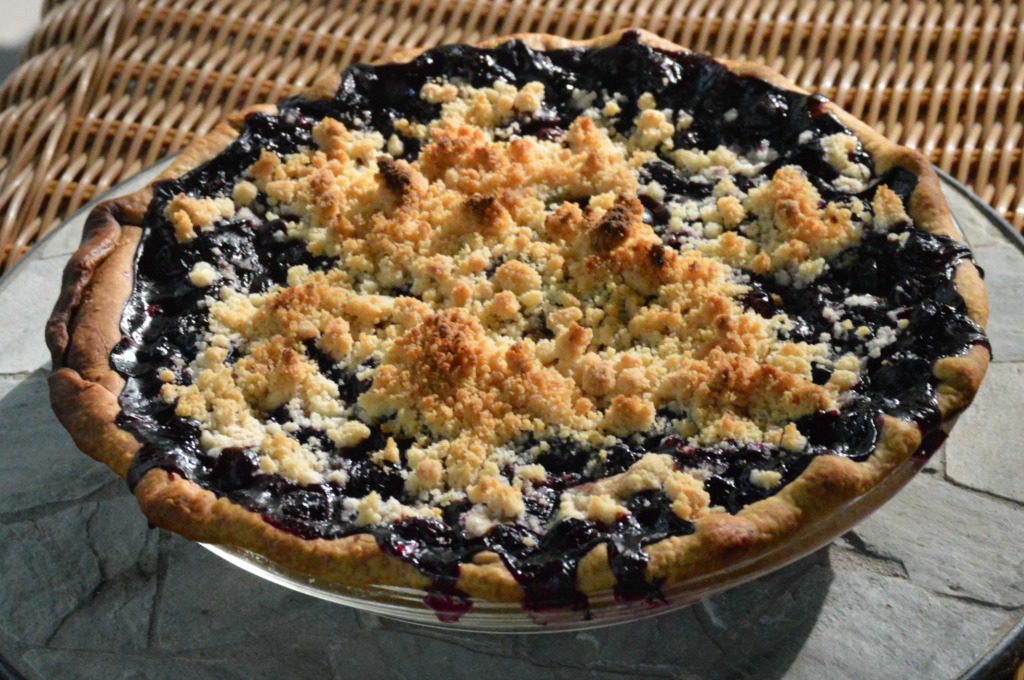 https://myfamilythyme.com/wp-content/uploads/2017/07/blueberry-pie-finished.jpg