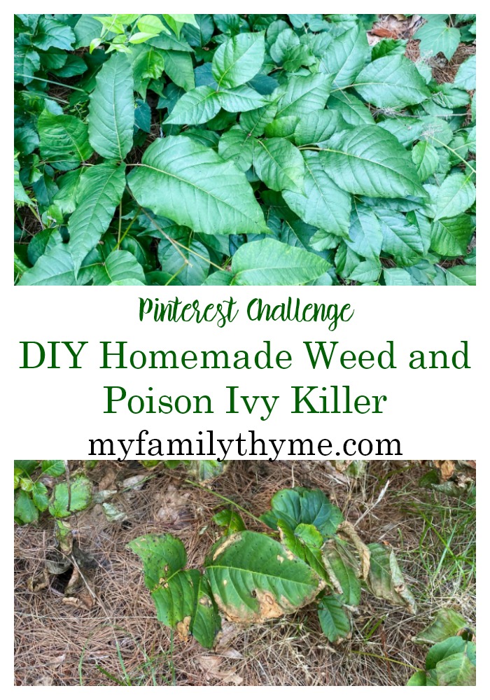 DIY Homemade Weed and Poison Ivy Killer - My Family Thyme