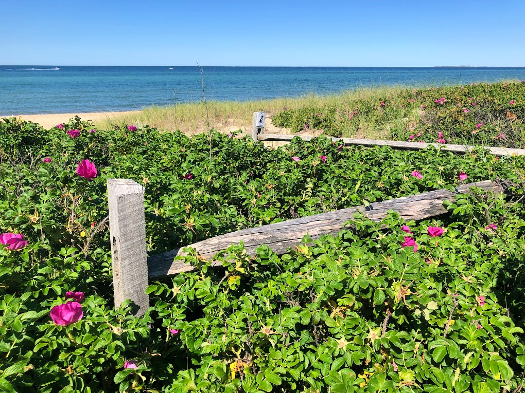 view of Martha's Vinyeard beach and fence