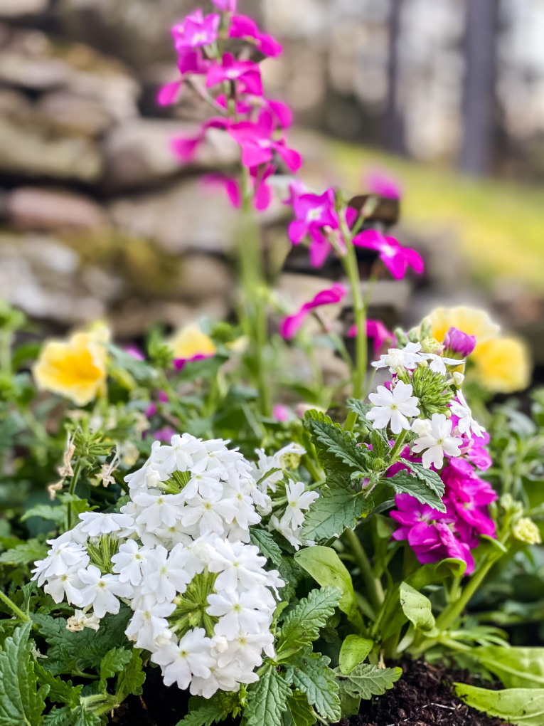 A Simply Sensational Flower Garden Container