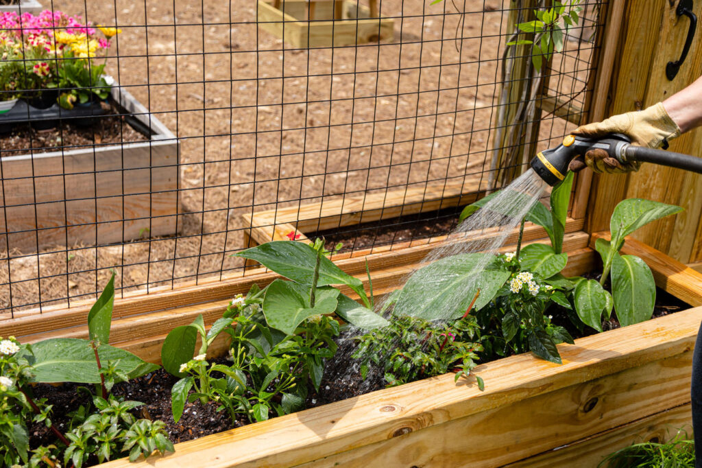 planting flowers in a raised bed