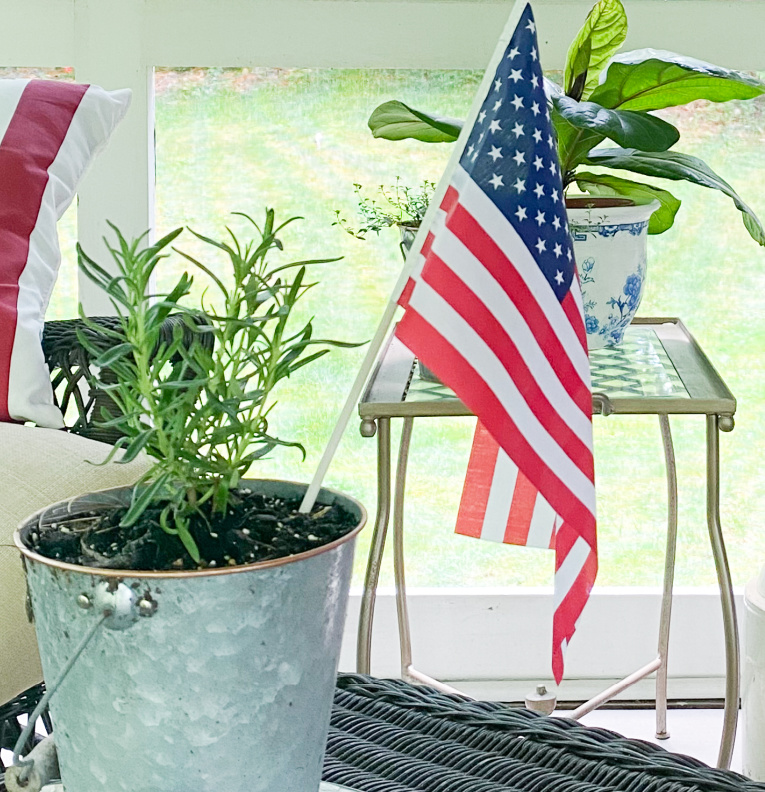 view of flag in pot of rosemary
