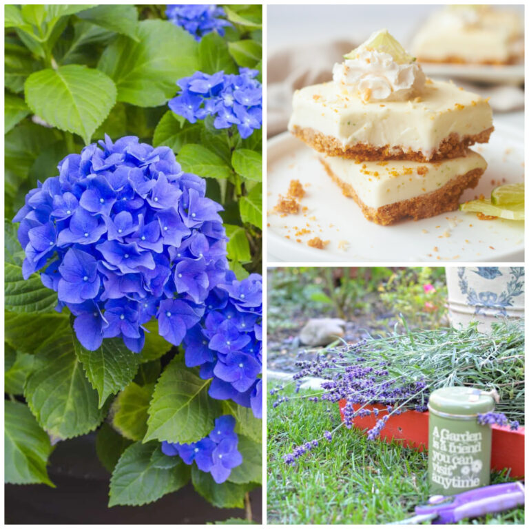 collage of features including blue hydrangeas, key lime pie bars, and lavender