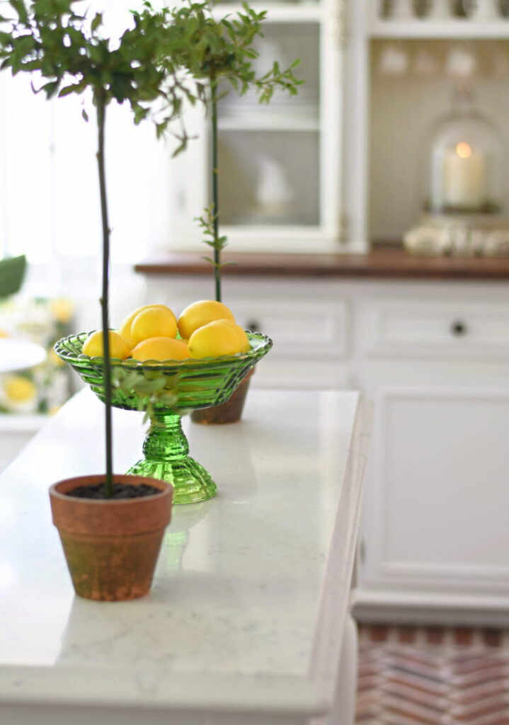 kitchen view with topiaries and lemons