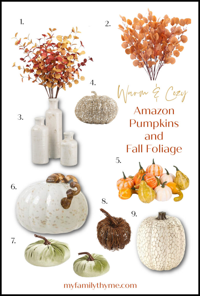 collage of Amazon pumpkins and fall foliage