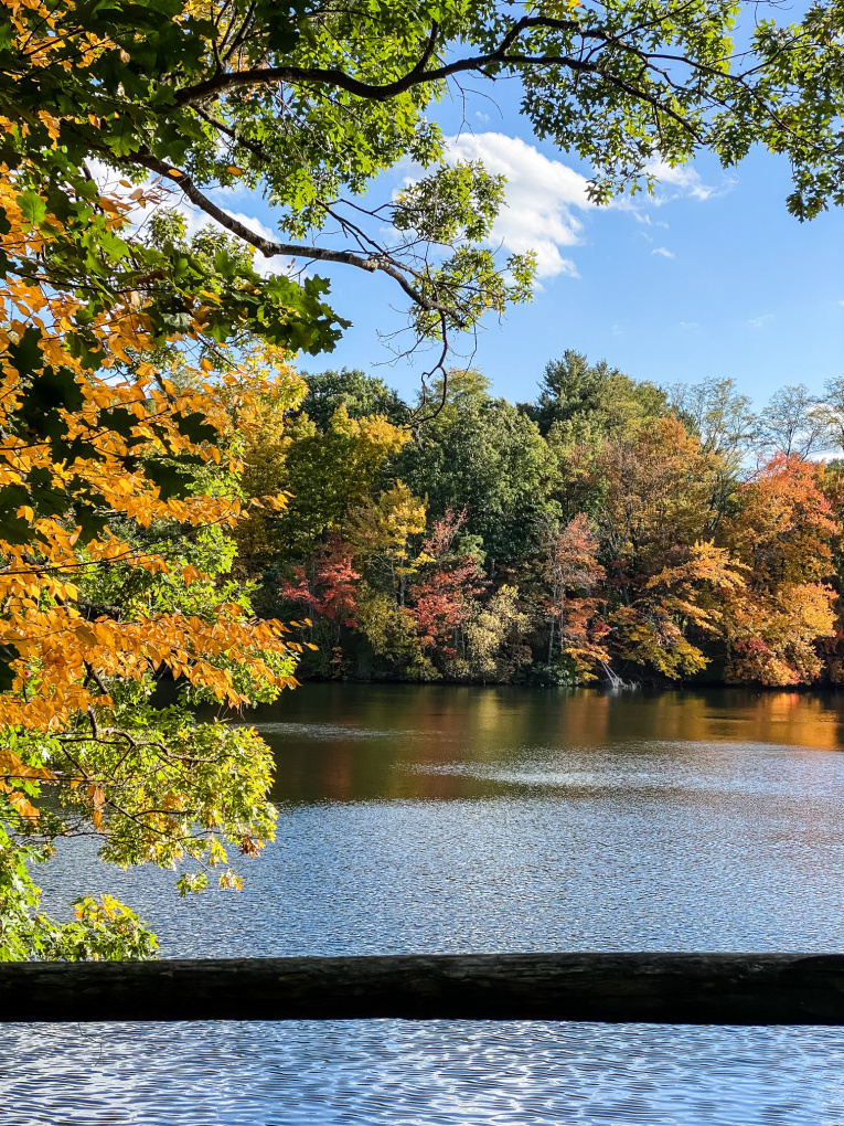 view of pond with fall foliage