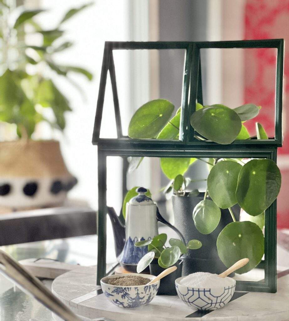 diy mini tabletop greenhouse