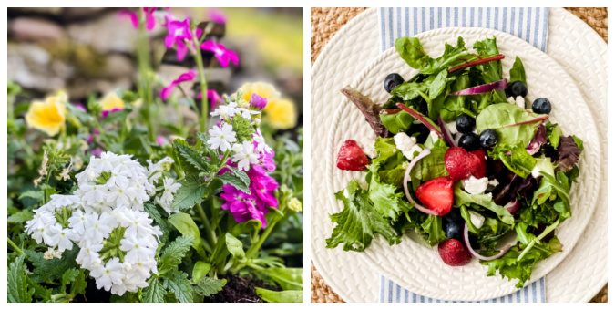 collage of spring container garden featuring white, purple and yellow flowers, and salad with greens, strawberries, blueberries, and goat cheese.