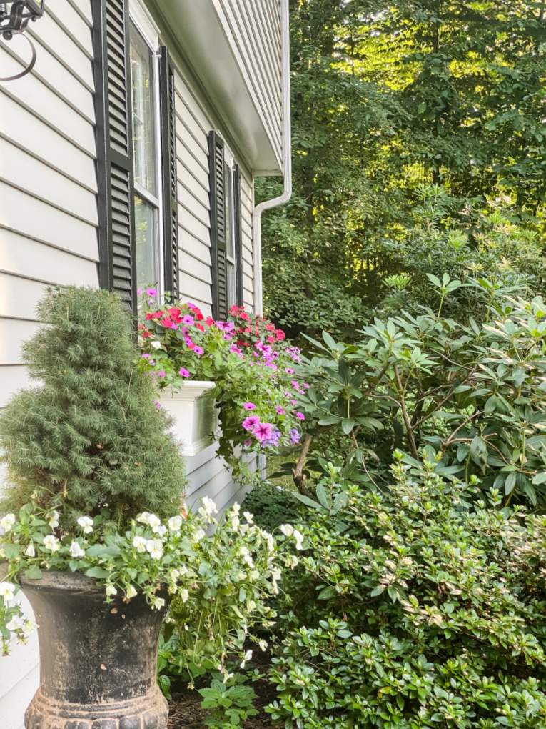 view of colonial gray home with black shutters and flower boxes, planted with pink petunias, purple verbena, and dark pink impatiens.