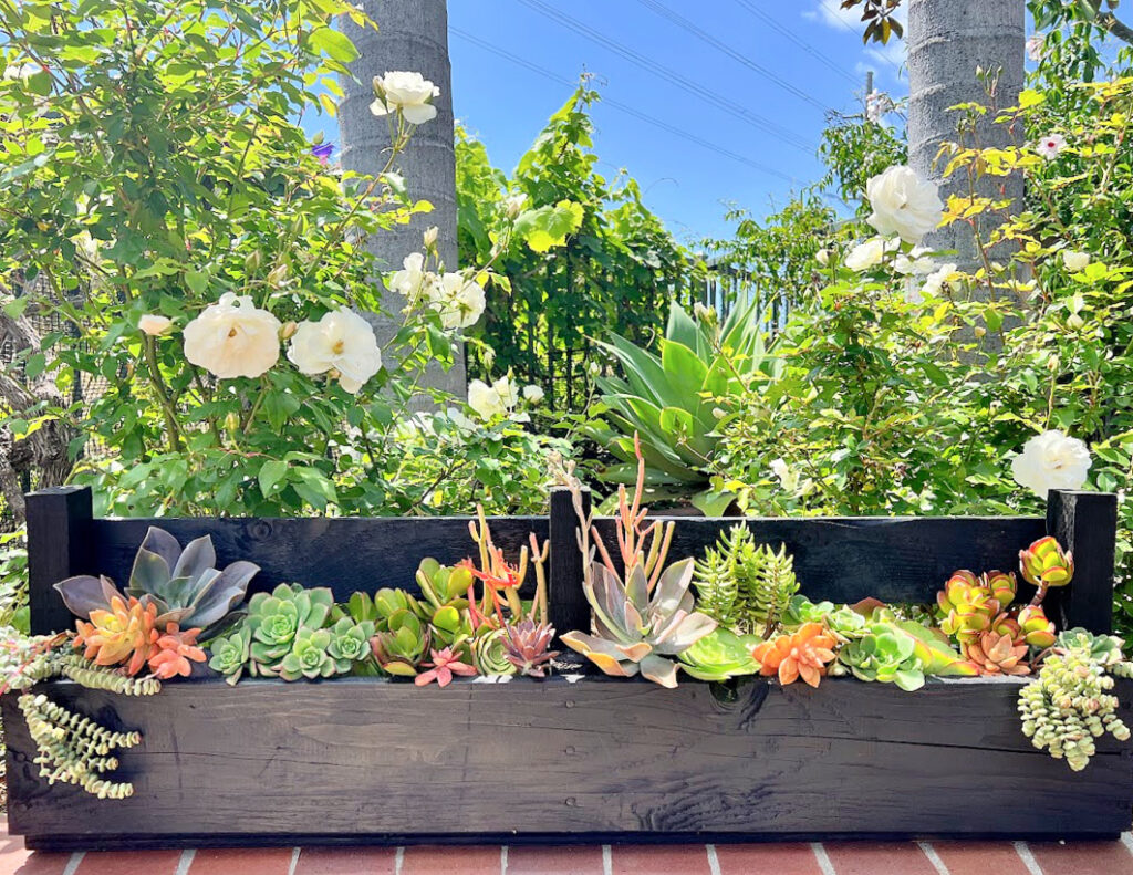 diy succulent planter made from a wood pallet