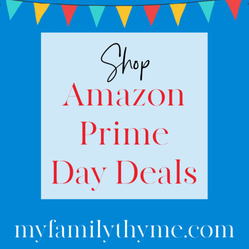 Shop the Best Amazon Prime Day Deals - My Family Thyme