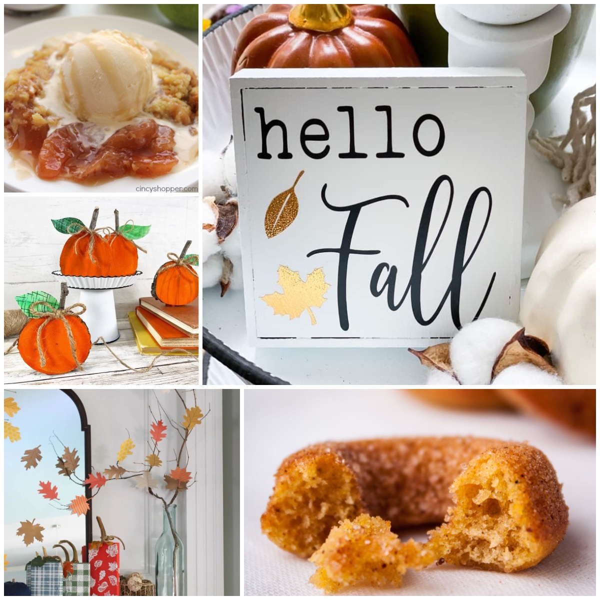 Tuesday Turn About #221 Welcome Fall!