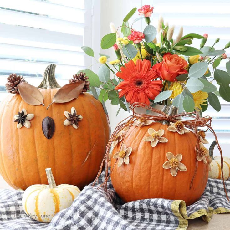 Image for Easy No Carve Pumpkins