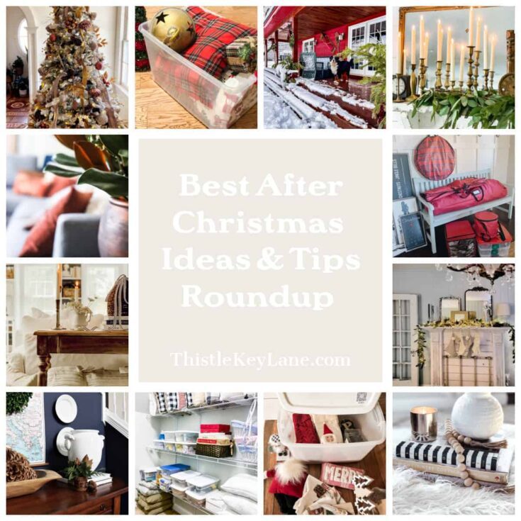Image for After Christmas Ideas and Tips Roundup